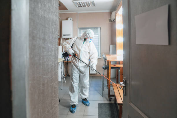 Professional Mold Removal in Brookside, AL