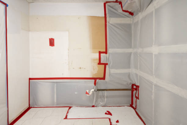 Best Attic Mold Removal  in Brookside, AL