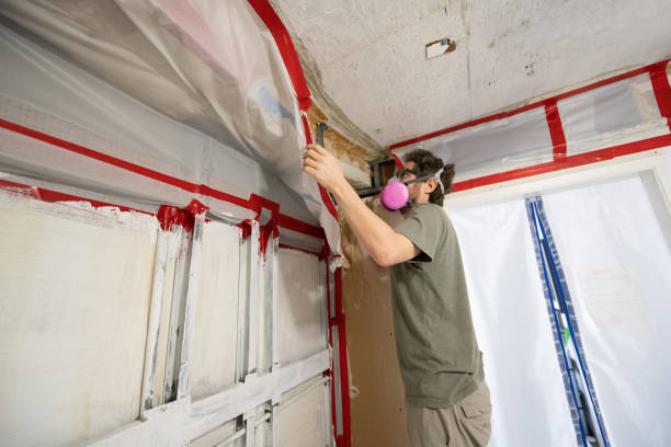 Mold Odor Removal Services in Brookside, AL
