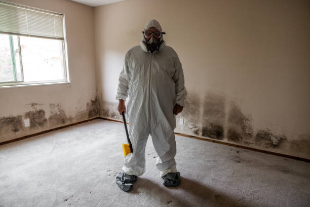 Best Crawl Space Mold Remediation  in Brookside, AL